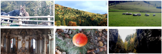 Gyimesfelsőlok