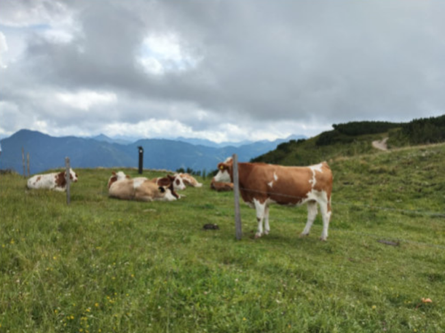 Sankt Johann im Pongau